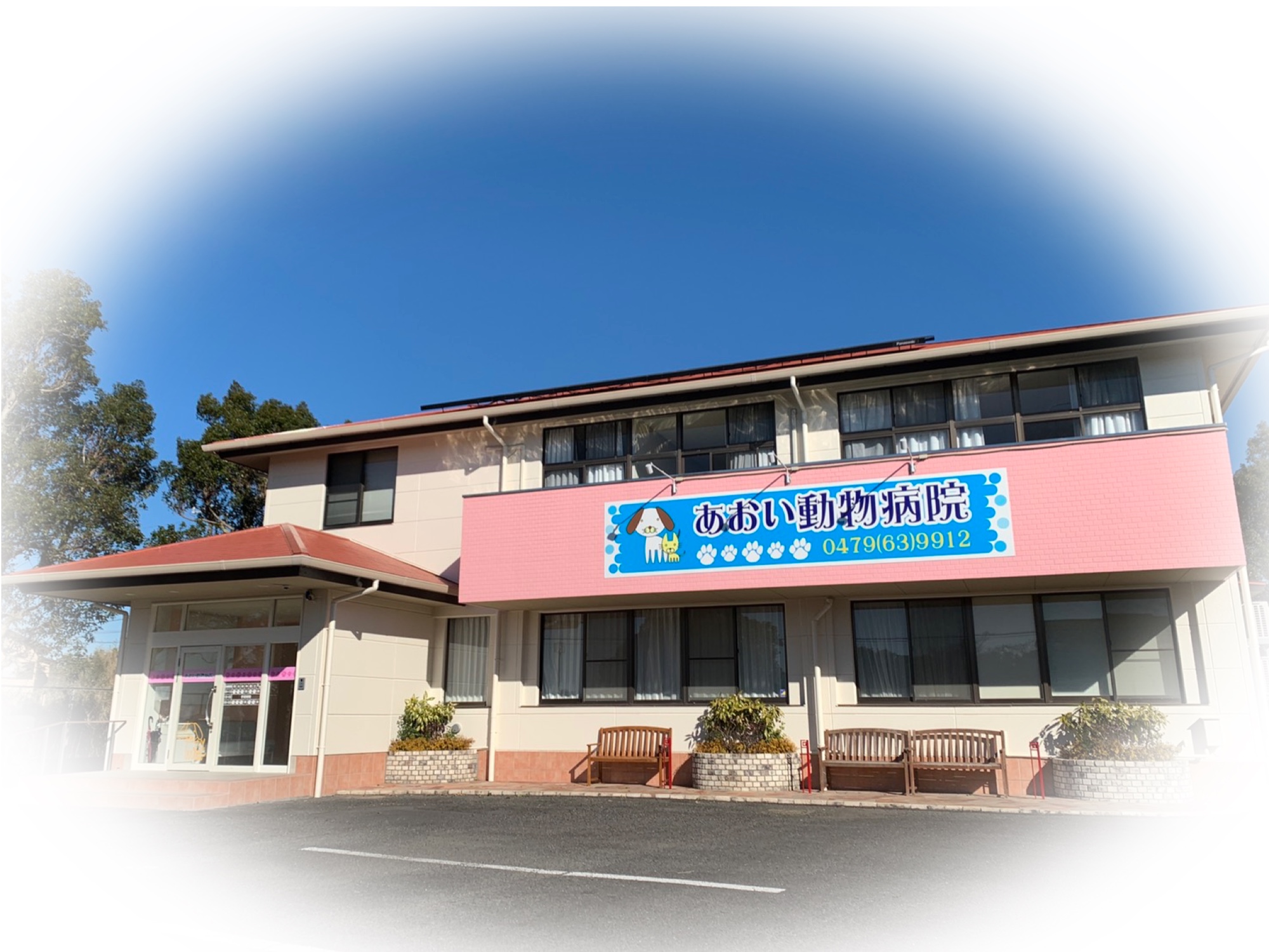 Facility 千葉県旭市で動物の健康のために ベストを尽くす あおい動物病院